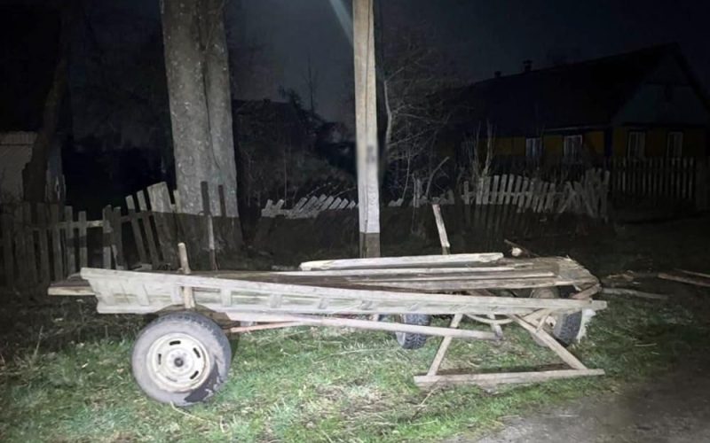 В Ушомирській громаді 57-річна водійка на гужовому возі врізалася в електроопору і загинула