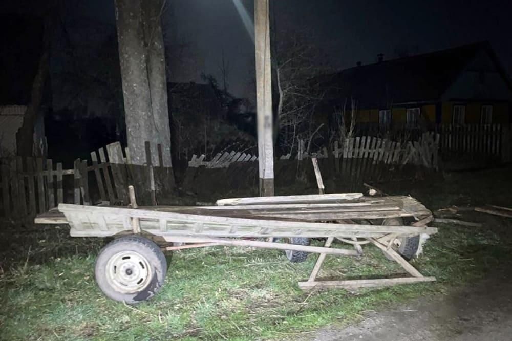 В Ушомирській громаді 57-річна водійка на гужовому возі врізалася в електроопору і загинула