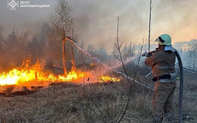 У селі на Коростенщині одночасно виникли дві пожежі, що охопили майже 6 гектарів території