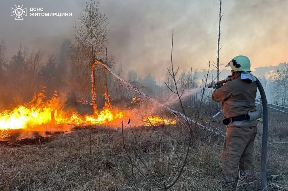 У селі на Коростенщині одночасно виникли дві пожежі, що охопили майже 6 гектарів території