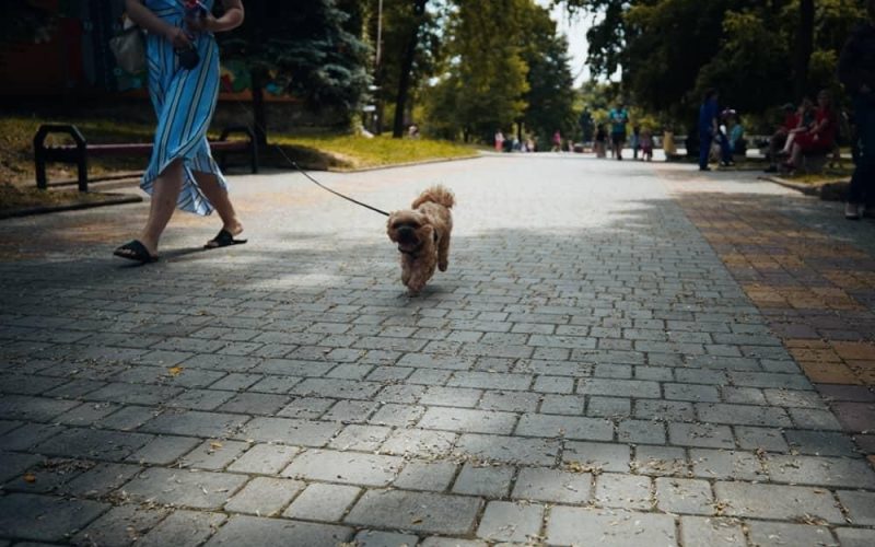 На коростенців очікує спекотний тиждень: до +28