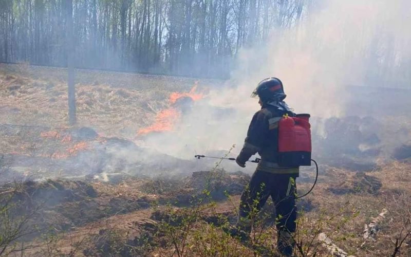 У селі на Коростенщині горіла суха трава: вогонь перекинувся на дві господарчі будівлі