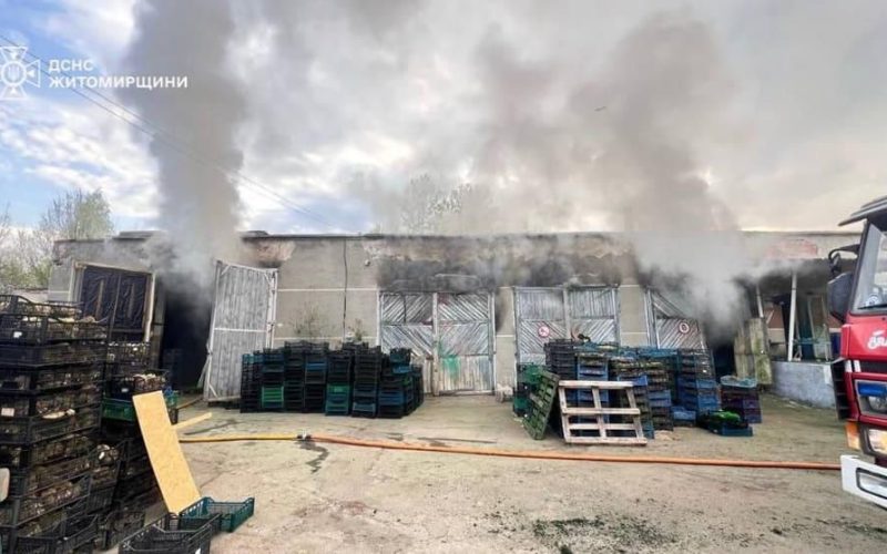 У селі неподалік Коростеня горіло складське приміщення з декоративними рослинами