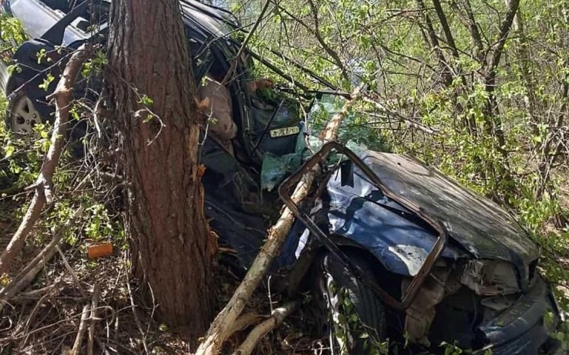 Подробиці ДТП біля Коростеня: п’яний водій на Volvo врізався у дерево, травмовані четверо