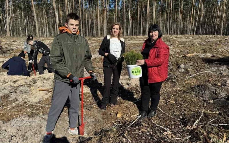 У Лугинському лісництві ліцеїсти допомогли висадити понад 6 тисяч саджанців сосен та дубів