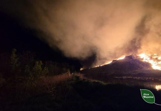Команда Коростенського надлісництва вночі стримувала пожежу біля лісу поруч з житомирським сміттєзвалищем
