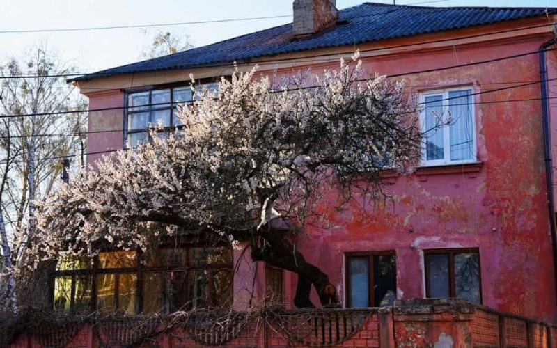 З Північного моря на територію Житомирської області надійшов антициклон “RICCARDA”