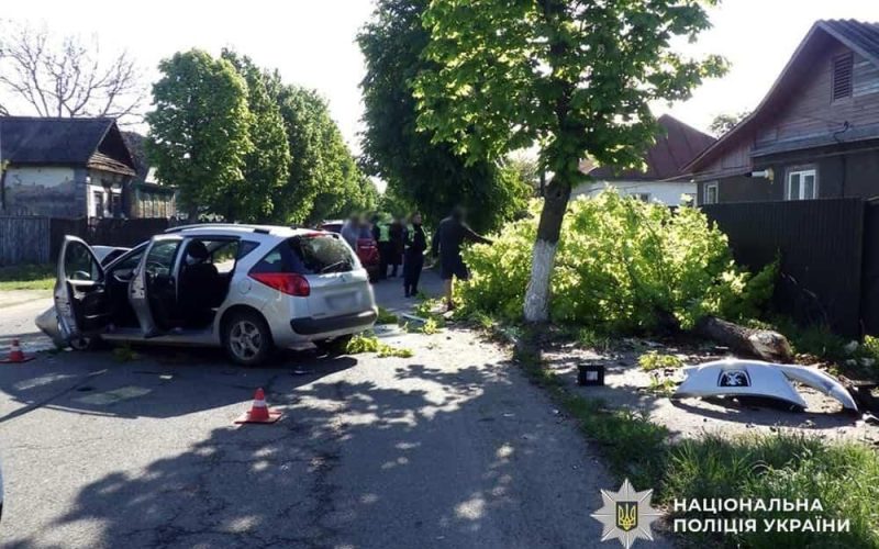 У Народичах 38-річна водійка Renault врізалась в дерево