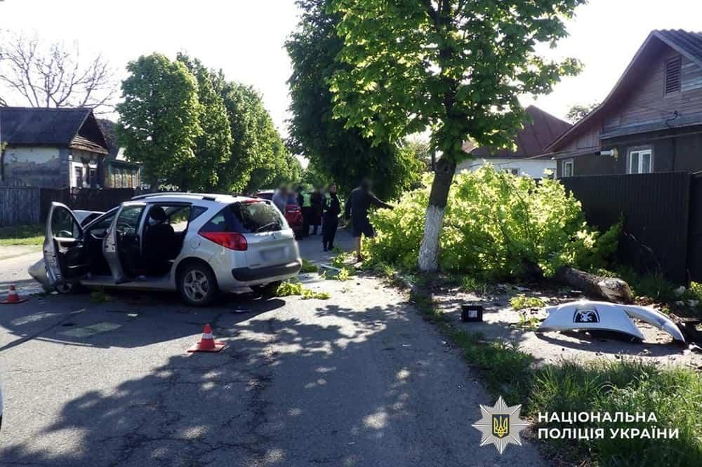 У Народичах 38-річна водійка Renault врізалась в дерево