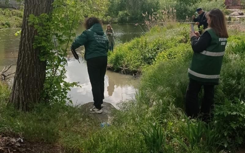 Річка Уж у Коростені забруднена: вода – сірого кольору з фекальним запахом