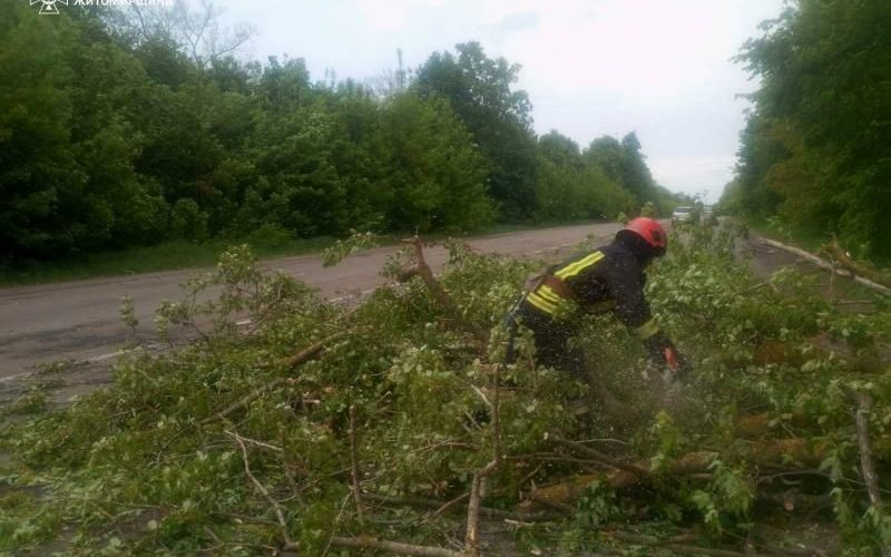 На Малинщині рятувальники прибрали з дороги повалене дерево