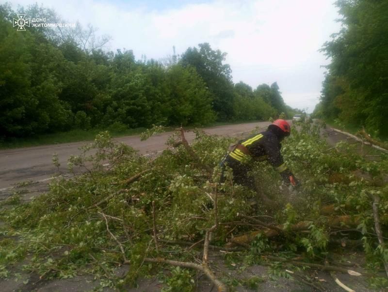 На Малинщині рятувальники прибрали з дороги повалене дерево