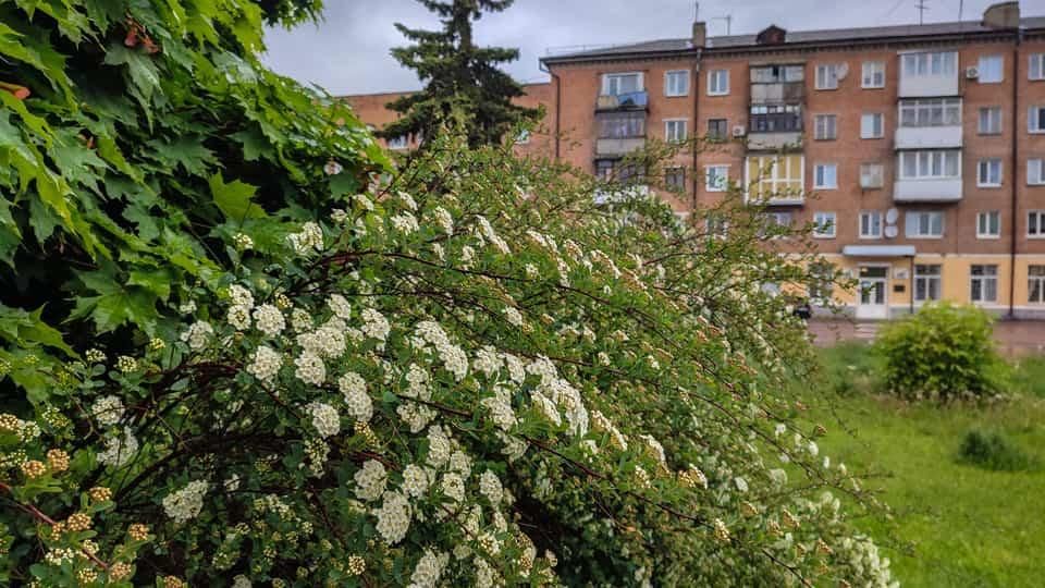 Тепла погода з короткочасними дощами – погода в Коростені протягом робочого тижня