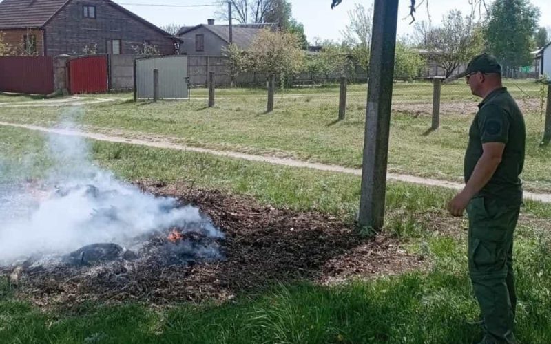 Спалював пластик і суху траву – на Коростенщині оштрафували чоловіка