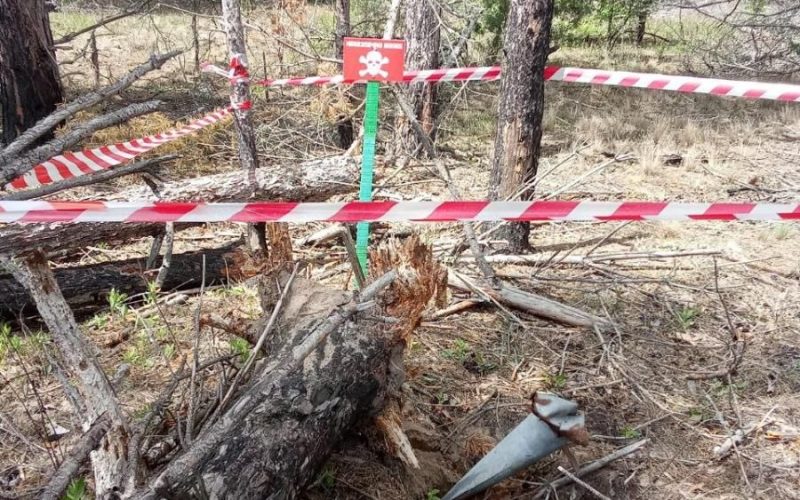 У заповіднику на території Народиччини піротехніки розміновують ліс