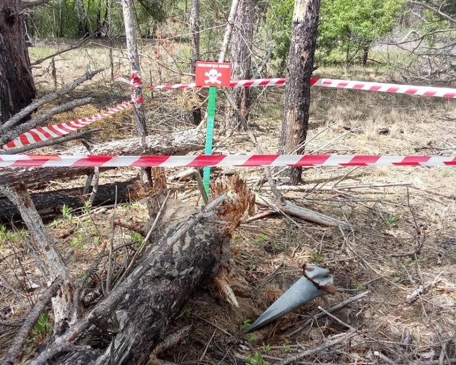 У заповіднику на території Народиччини піротехніки розміновують ліс