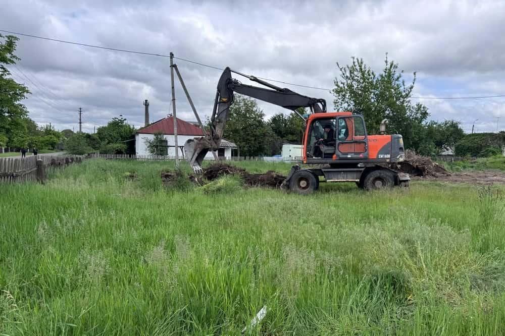 У Малині збираються закласти фруктовий сад