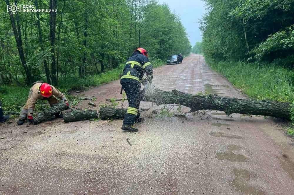 У селі неподалік Коростеня через сильні пориви вітру на дорогу впало дерево та перекрило рух транспорту