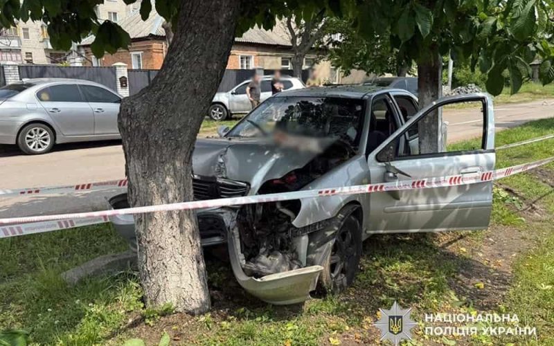 На одній з вулиць у Коростені водій Geely об’їжджав тварину та врізався в дерево: травмовані троє