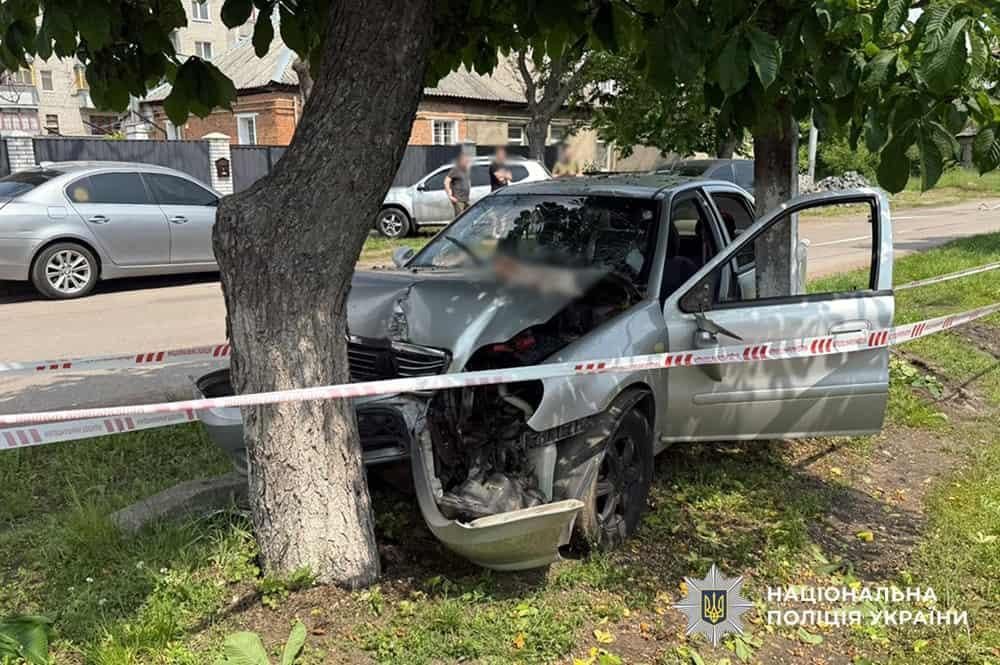 На одній з вулиць у Коростені водій Geely об’їжджав тварину та врізався в дерево: травмовані троє