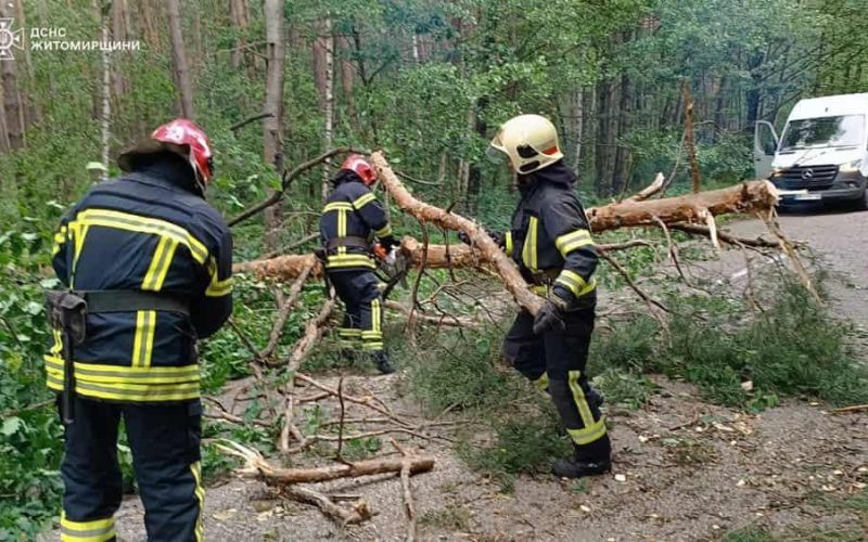 Коростенський район після буревію: з доріг прибрано понад 65 дерев, 9 сіл без світла