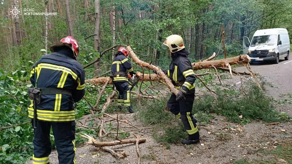 Коростенський район після буревію: з доріг прибрано понад 65 дерев, 9 сіл без світла