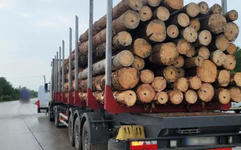 З початку тижня на Житомирщині патрульні зафіксували шість випадків порушення правил перевезення деревини