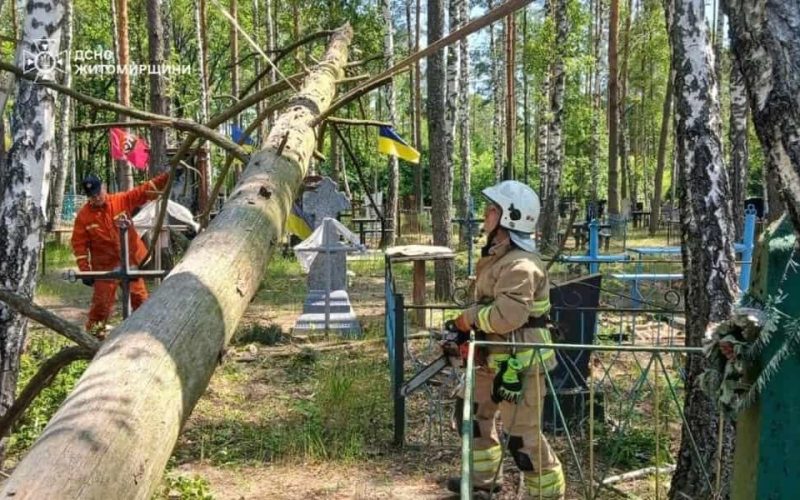 У селі Лугинської громади рятувальники прибирали повалені вітром дерева на кладовищі