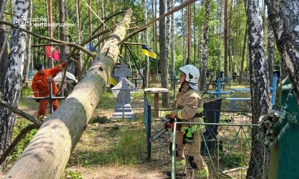 У селі Лугинської громади рятувальники прибирали повалені вітром дерева на кладовищі