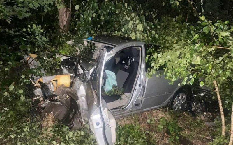 Неподалік Малина Hyundai з’їхав у кювет та врізався в дерево: водій загинув