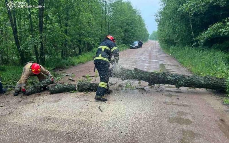 Через негоду в Коростенському районі було знеструмлено декілька населених пунктів
