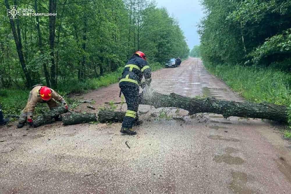 Через негоду в Коростенському районі було знеструмлено декілька населених пунктів