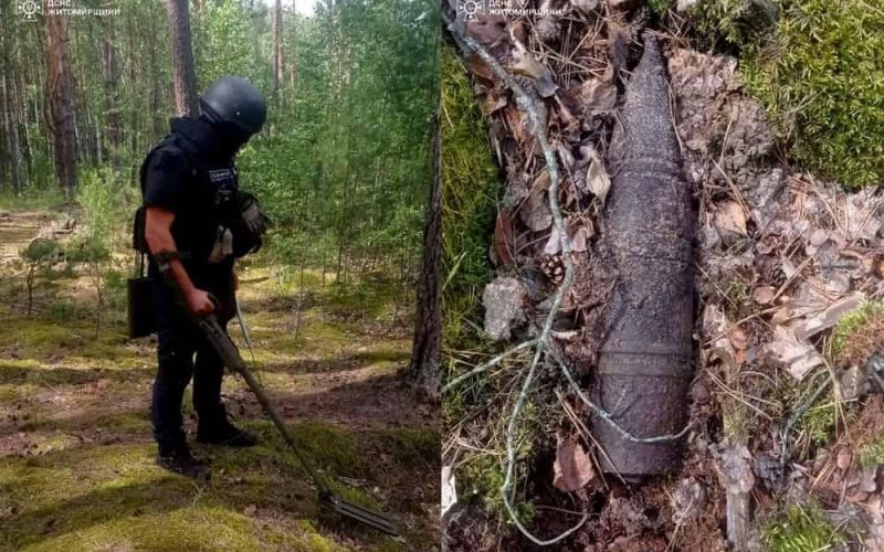 У лісі Малинської громади грибники натрапили на артснаряд