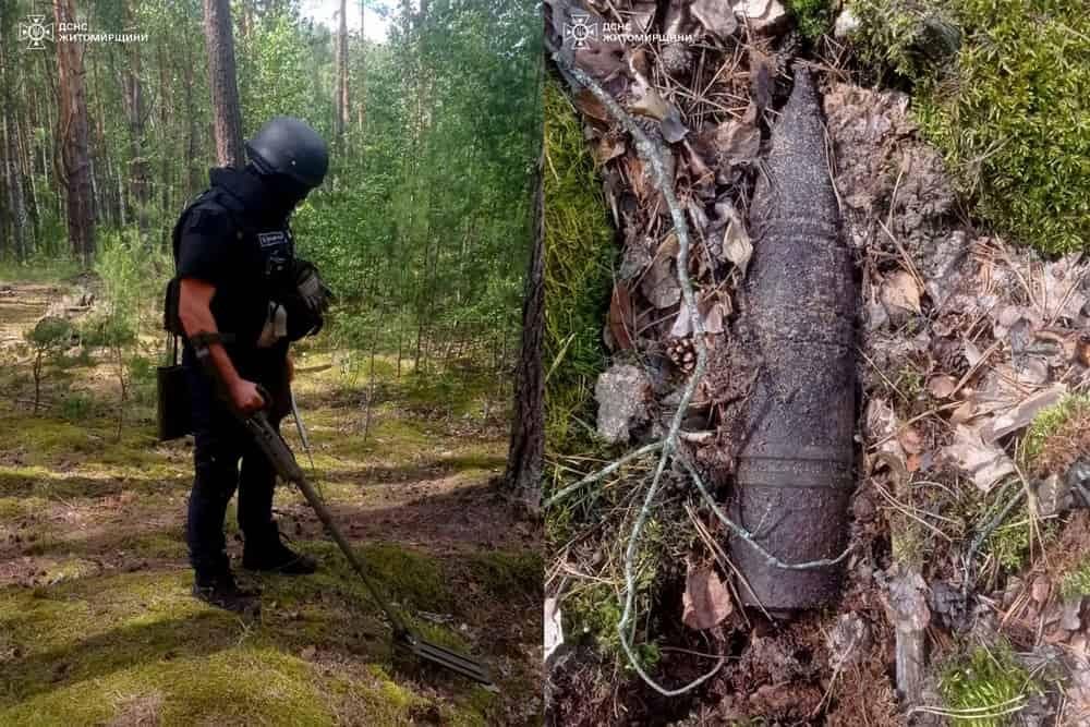 У лісі Малинської громади грибники натрапили на артснаряд