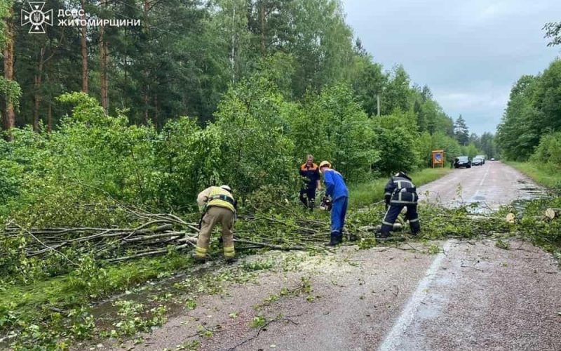 У селі Коростенського району рятувальники розрізали два дерева, які могли спричинити пошкодження лінії електропередач