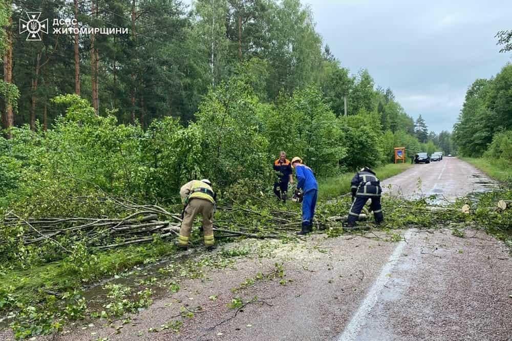 У селі Коростенського району рятувальники розрізали два дерева, які могли спричинити пошкодження лінії електропередач