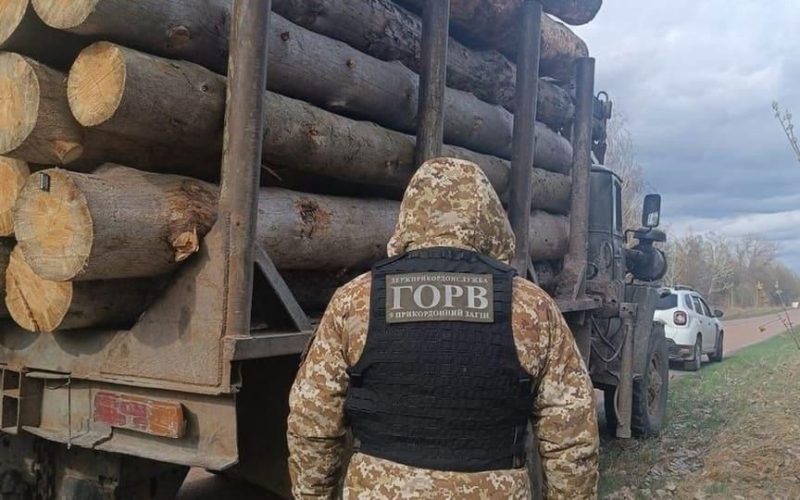 На Житомирщині від початку року зареєстрували понад 80 кримінальних проваджень за незаконну порубку та перевезення деревини