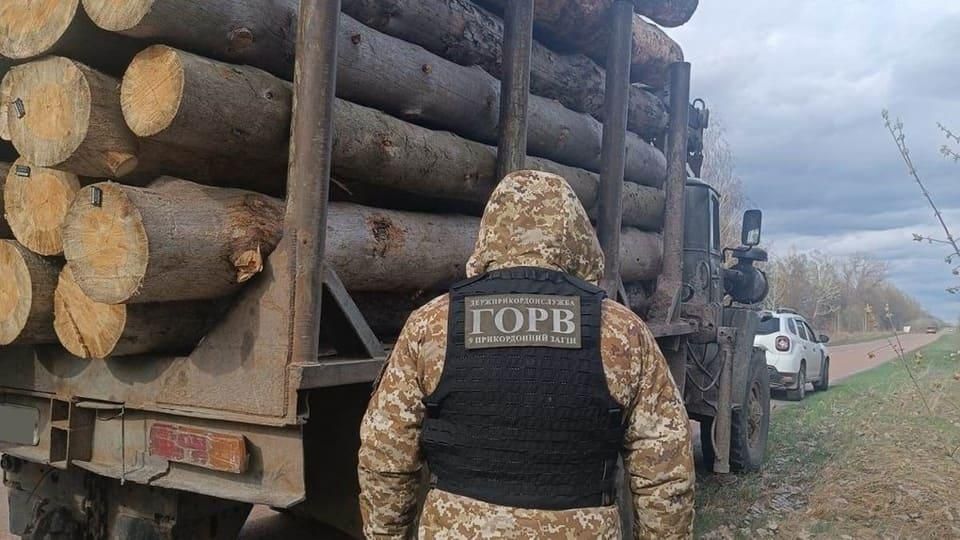 На Житомирщині від початку року зареєстрували понад 80 кримінальних проваджень за незаконну порубку та перевезення деревини