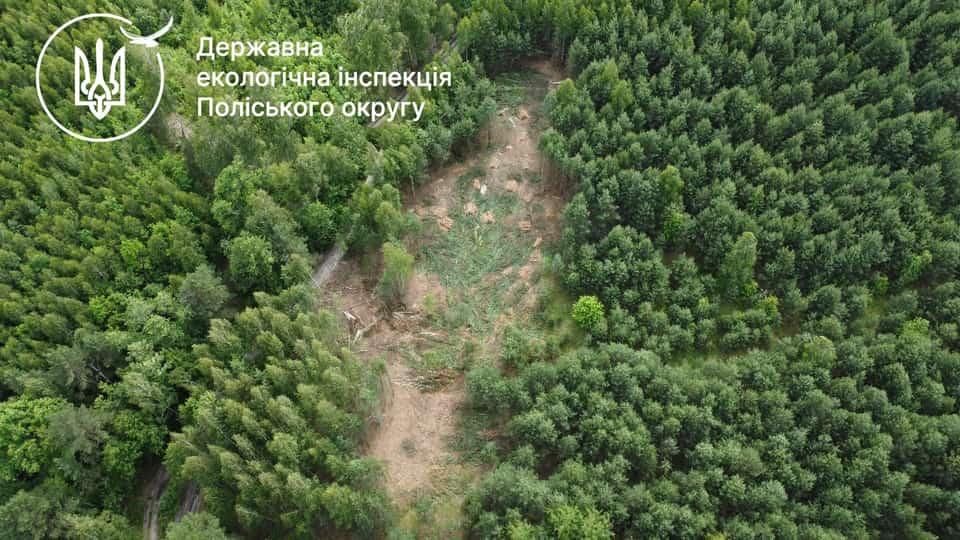 В одному з сіл Словечанської громади лісівники виявили незаконну порубку дерев: збитки становлять понад 400 тис. грн