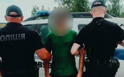 На Малинщині 17-річний хлопець підпалив посіви пшениці: поліцейські охорони затримали палія