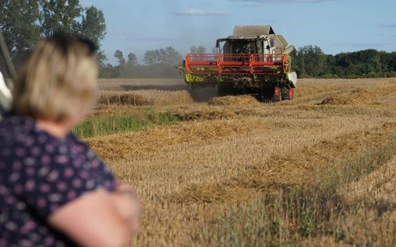 На Житомирщині за рік значно зросла вартість сільськогосподарської землі