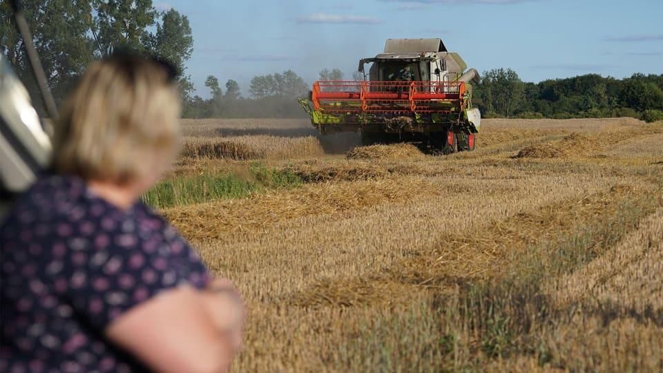 На Житомирщині за рік значно зросла вартість сільськогосподарської землі