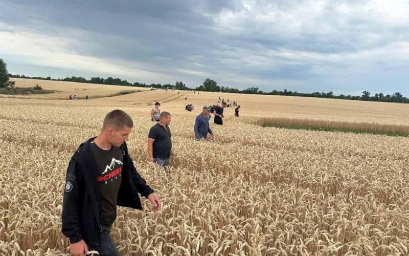 Заснула у лісі – на Житомирщині розшукали зниклу 3-річну дівчинку
