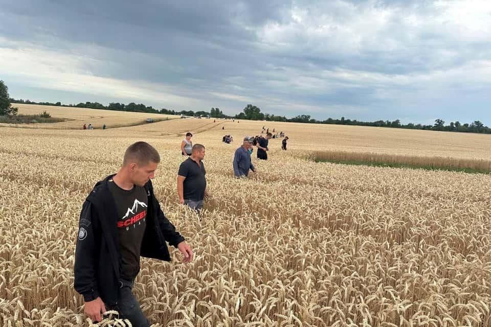 Заснула у лісі – на Житомирщині розшукали зниклу 3-річну дівчинку