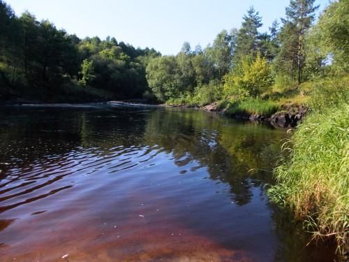 В Олевську під час лабораторного дослідження води в річці Уборть спеціалісти виявили відхилення