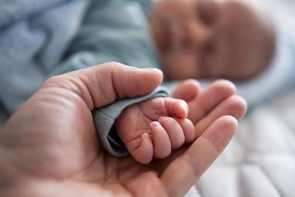 Від початку повномасштабного вторгнення в Україні стабілізувалася народжуваність: яка ситуація на Житомирщині