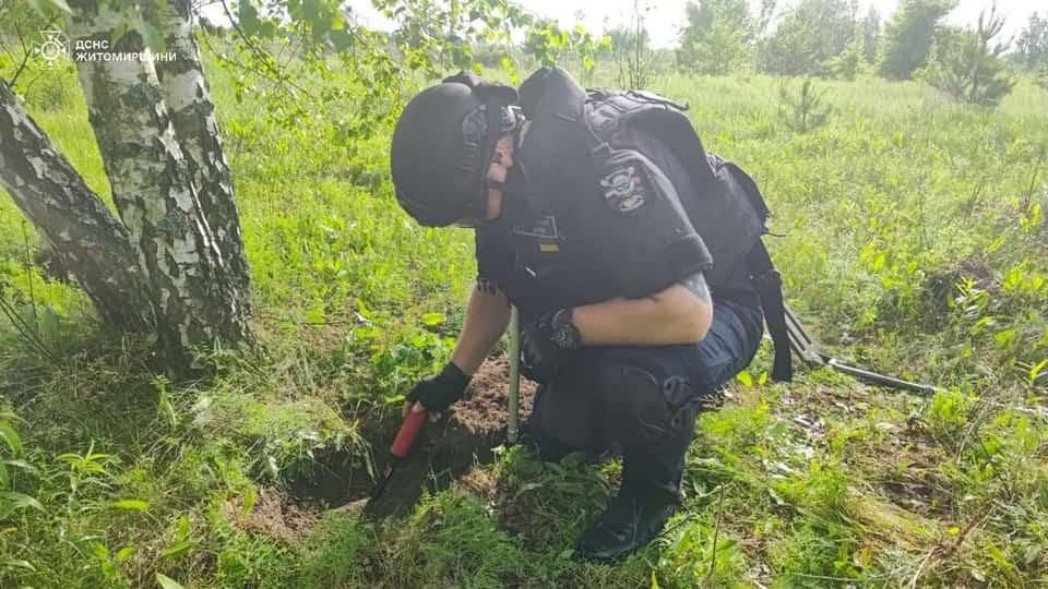 У полі неподалік Коростеня виявили артснаряди