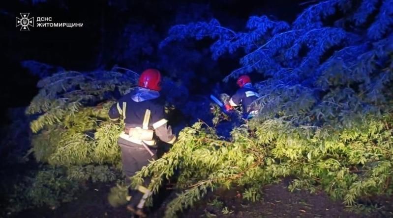 У селі Коростенського району через сильні пориви вітру дерево впало та заблокували вхід до будинку