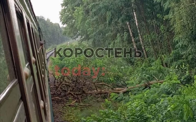 Машиністи потягу “Коростень-Козятин” прибирали з колій повалене негодою дерево