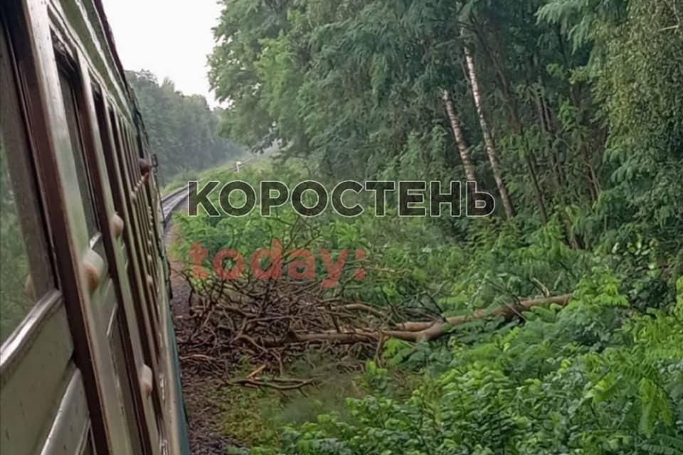 Машиністи потягу “Коростень-Козятин” прибирали з колій повалене негодою дерево